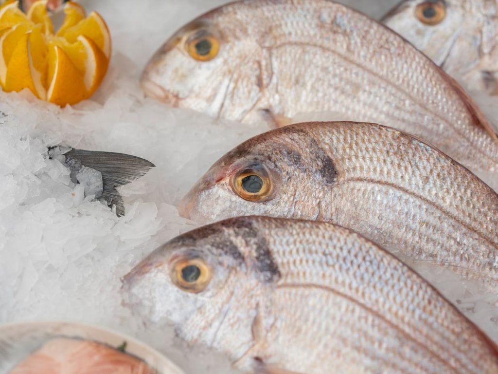 Close-up of raw red porgy fish on ice with a lemon accent, perfect for seafood markets.